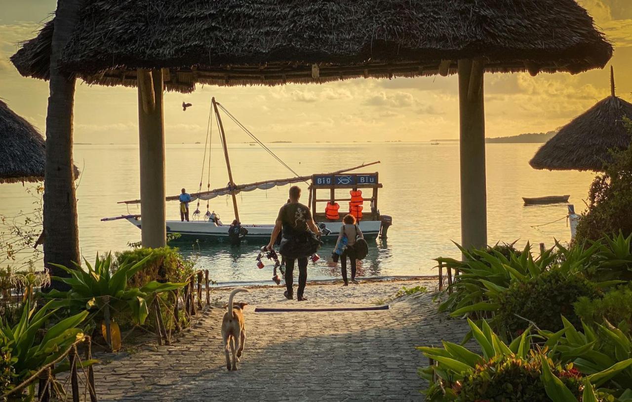 Butiama Marine Camp Hotel Utende ภายนอก รูปภาพ