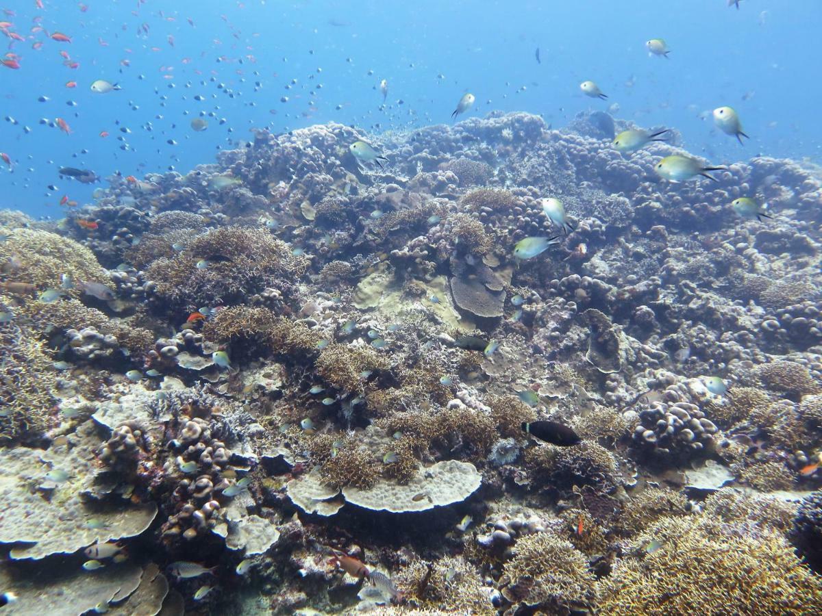 Butiama Marine Camp Hotel Utende ภายนอก รูปภาพ